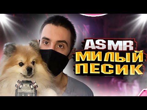 АСМР С СОБАКОЙ / ASMR DOG