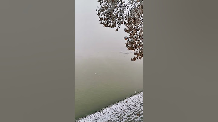 Zemun, zemunski kej danas, Dunav se jedva vidi u izmaglici #zemun #dunav #zemunski_kej