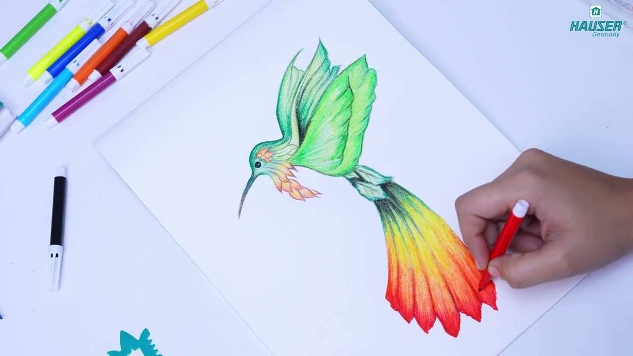 Hauser Artz Art Venture Kit | Complete Colouring & Drawing Set for Kids