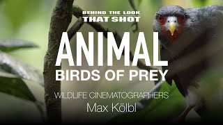 BEHIND THE LOOK | BIRDS OF PREY | Max Kölbl