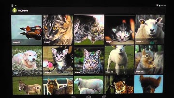 Pin-and-Cross: A Unimanual Multitouch Technique Combining Static Touches with Crossing Selection