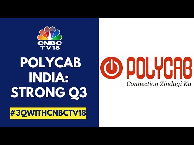 Polycab India Reports Strong Q3FY25 Earnings, Margin Exceeding Estimates | CNBC TV18