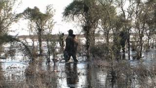Duck Hunt Argentina with "Southern Wing Outfitters" part-1