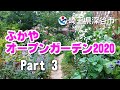 ふかやオープンガーデン2020 part3【埼玉県深谷市のオープンガーデンをご紹介】