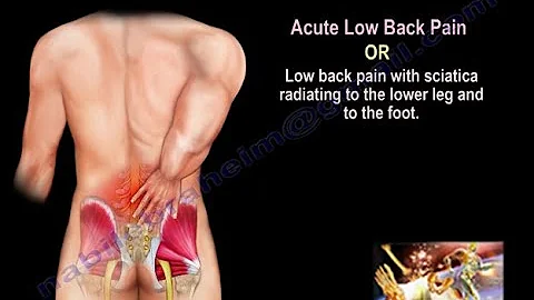 Low Back Pain - Everything You Need To Know - Dr. Nabil Ebraheim - DayDayNews