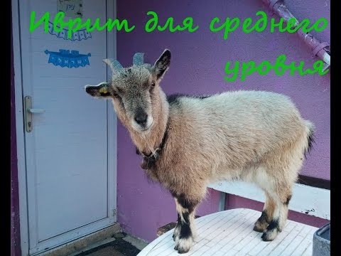 885. Существительные с суффиксом "ник"