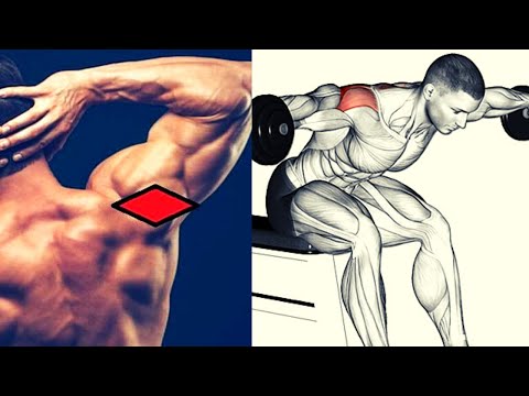 Vidéo: Comment Entraîner Correctement Vos Muscles Deltoïdes