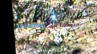 Video003.mp4