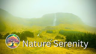 Nature Serenity – 2+ Hours of Light & Relaxing Jazz Music for Peaceful Moments