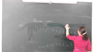 картинка: Ирээдүй цогцолбор математикийн багш Э Мөнгөн Тооллын систем 3