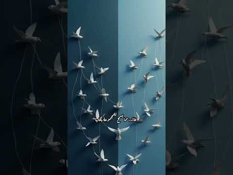 لماذا يصطف البط على شكل 