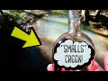 TREASURE HUNTER SEARCHES CREEK FOR ANTIQUE BOTTLES!!! (HOW TO)