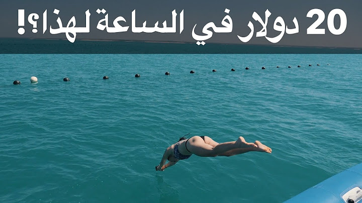 20 دولار في الساعة لهذا؟!