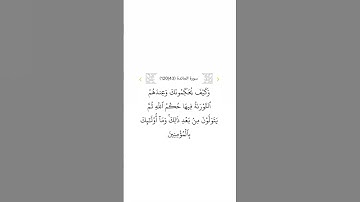 سورة المائدة ٤٣
