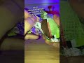 Яйцо с сюрпризом по Союзмультфильму 