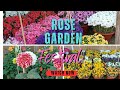 Zakir Hussain 🌹Rose Garden🌹 Festival | 2025 | Chandigarh | Part-2 |🌷🌼🌸🥀