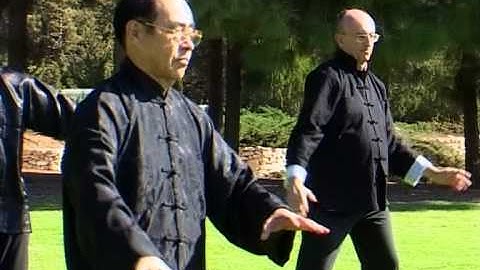Shing Yi Chuan  - Five elements. PLEASE SUBSCRIBE