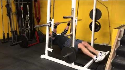 Inverted rack rows / Inverted Rows - Destroys the Upperback but Safe on the Lowerback