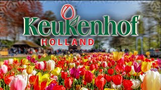 ПАРК ТЮЛЬПАНОВ КЁКЕНХОФ - самый красивый весенний парк в мире. Более 7 миллионов цветов. Keukenhof