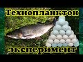 Технопланктон.Эксперимент растворения (пыления)