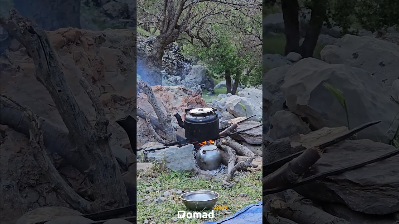 Don't Miss Out on the Ultimate Mountain Tea Experience This Spring