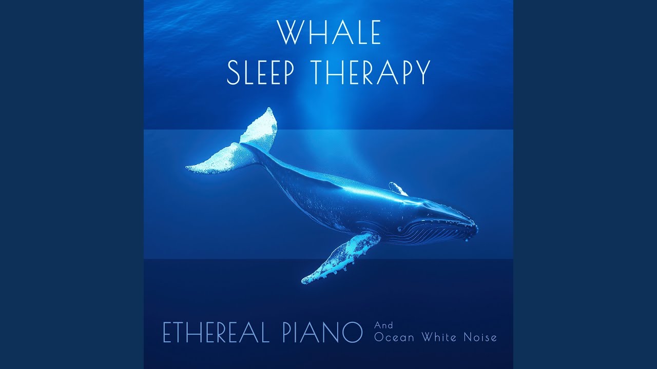 睡眠導入頻率 (海洋鯨魚低鳴)