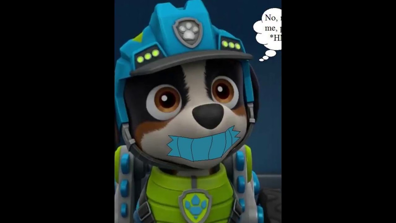 paw patrol rex YouTube