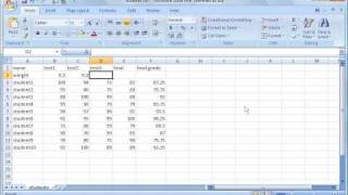 Excel 2007 Tutorial 4:  Basic Spreadsheet #2