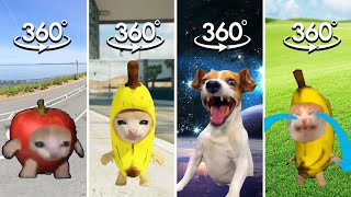 Find Banana Cat & Laughing Dog Meme COMPILATION | Banana Cat & Dog Finding Challenge 360º VR Video