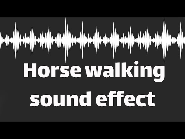 Horse walking sound effect  (no copyright) class=