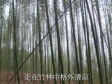 信義登山記 望美山 Mpg 94i 就是愛 信義登山記 望美山 Mpg 94i 就是愛