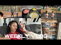 WEEKLY VLOG | Pantry Restock | Juggling The New Born Life | Amazon Haul |Plus More 