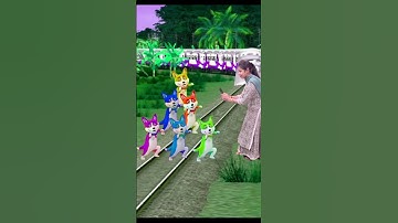 Funny dancing colourful dog stop 🖐️ the train #shorts #viralshorts #viralvideo