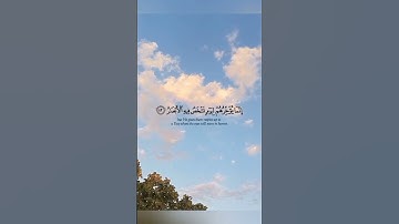 ماتيسر من سورة ابراهيم بصوت القارئ عبد الرحمن مسعد🌺🌺