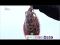 6시 내 고향 [이 몸이 갑오징어!] KBS제주 230124방송