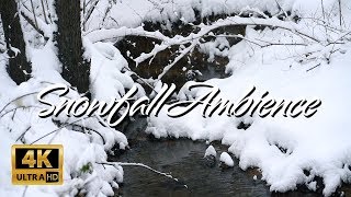 Snowfall And  Relaxing Creek Sounds For Sleep 4K Nature Ambience