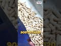 🚨 Loose feed-லிருந்து smart feedக்கு shift ஆகுங்க! -pellet making machine #shorts #reels #cattle