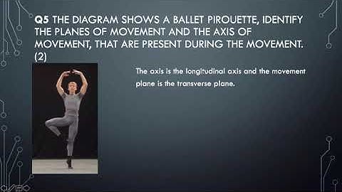 A-level PE - Anatomy & Physiology  Exam Paper -  break down