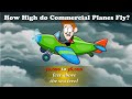 Amsome Video Quiz