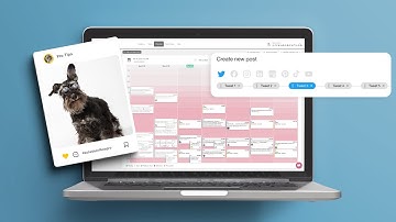 Boost your Content Game with Pro Tips on Content Scheduling with Metricool | METRICOOL TUTORIAL