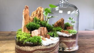 For beginners in making terrariums [Chapter 1]