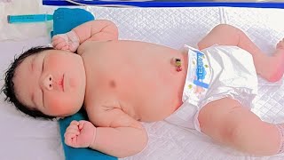 New born cute babies video👼😻