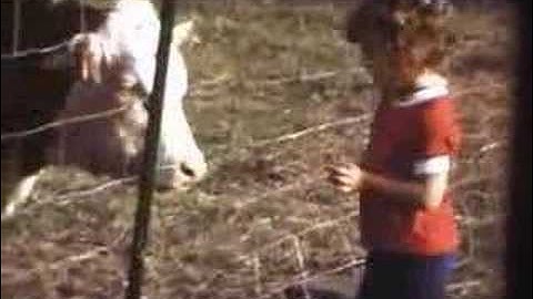 Sigur Ros "Untitled 3"