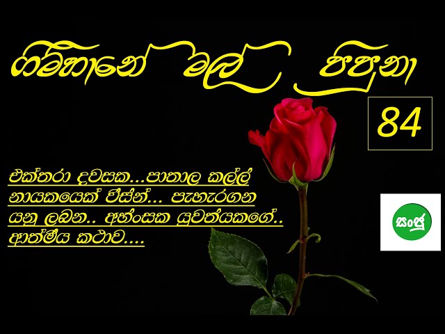 Gimhane mal pipuna  part - 84  (ගිම්හානේ මල් පිපුනා - 84 කොටස ) . class=