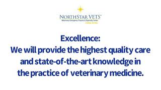 Excellence by NorthStar VETS 11 views 1 year ago 1 minute, 13 seconds