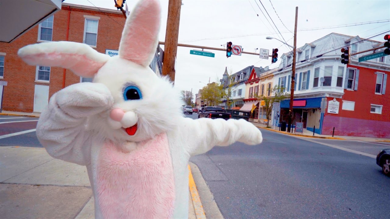 Dabbing Easter Bunny Spotted In Queen Anne’s County, Maryland QACTV