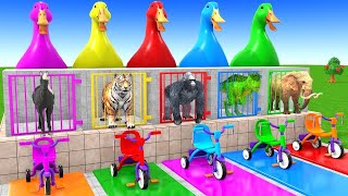 Long Slide Game With Cow Elephant Gorilla Hippopotamus Tiger 3d Animal Game Funny 3d Animals screenshot 4