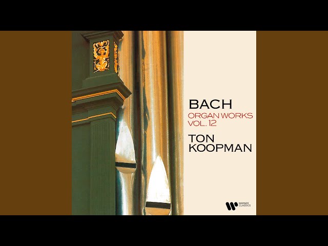 Ton Koopman - Organ Concerto No. 5 in D Minor, BWV 596 I, II