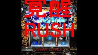 òRUSH ΤΤꡪ(^-^)