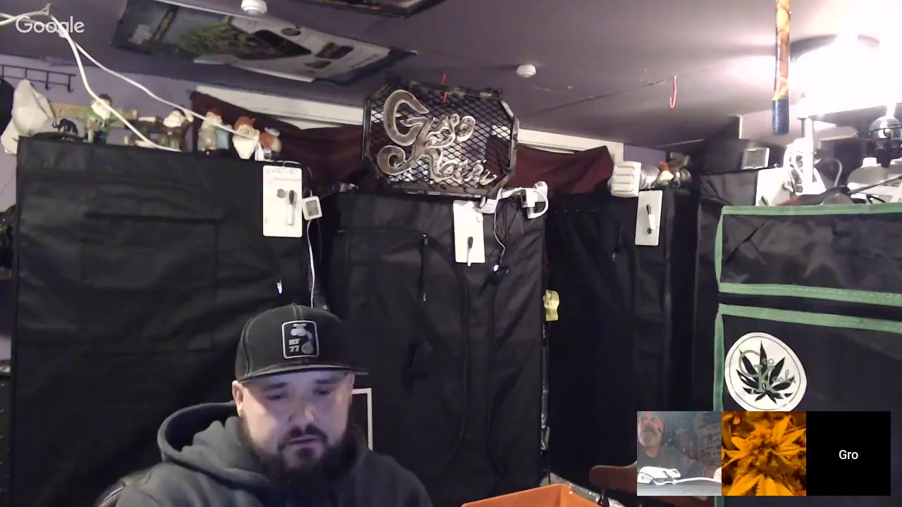 1 YEAR ANNIVERSARY N.E.C.C!!!!